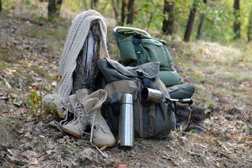 Tourist equipment in the forest
