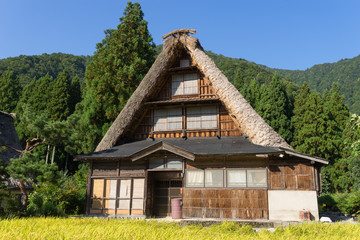 Fototapeta na wymiar Gassho Zukuri House in Suganuma area of Gokayama, Japan (五箇山 菅沼合掌造り) 