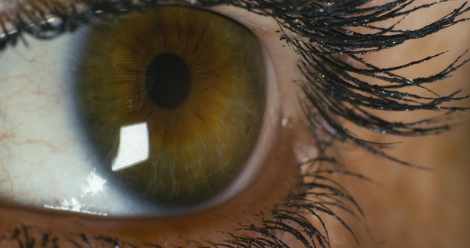 Macro Close Up Shoot on Eye blinking 4K
