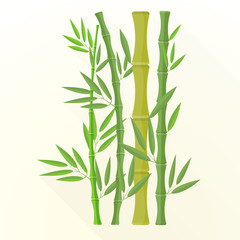 vector flat bamboo plants illustration icon.
