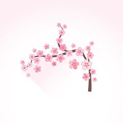 vector flat abstract blossom sakura branch illustration icon.