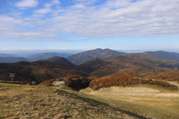 Fototapeta premium 琵琶湖バレイ 山頂 風景 紅葉