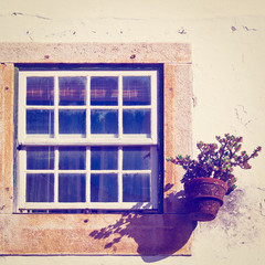 Window