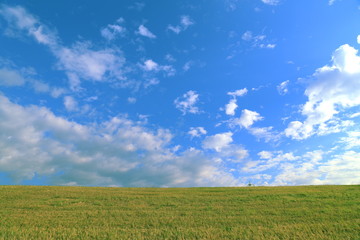 草原と青空