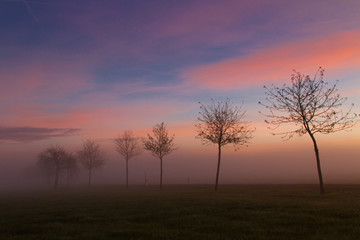Fototapeta na wymiar Nebel am Morgen