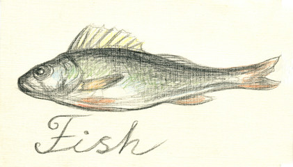 Fish perch. Drawing with colored pencils
