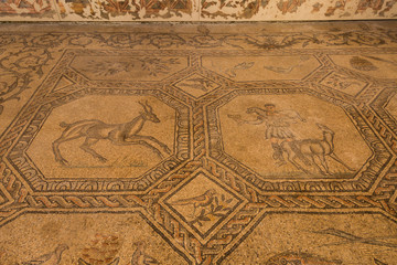 4th century Roman floor mosaics in the Romanesque-Gothic Basilica of Aquileia