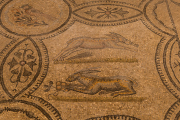 4th century Roman floor mosaics in the Romanesque-Gothic Basilica of Aquileia