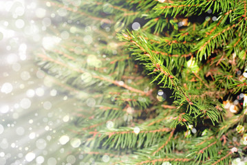 christmas tree light background