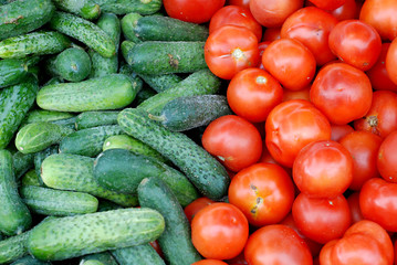 fresh cucumbers for sale