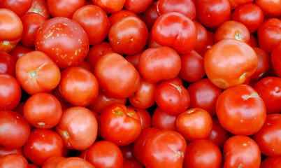fresh tomatoes for sale on a market