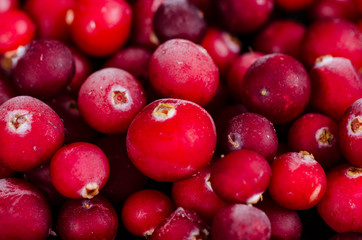 frozen cranberries on a black background