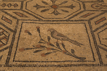Fototapeta na wymiar 4th century Roman floor mosaics in the Romanesque-Gothic Basilica of Aquileia