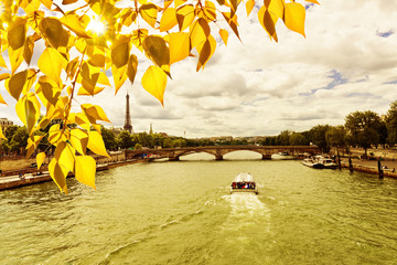 Eiffel Tower with autumn leaves in Paris, France