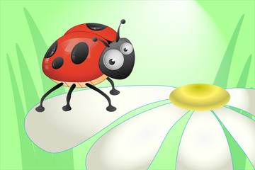 Fototapeta premium Ladybug sitting on a chamomile petal