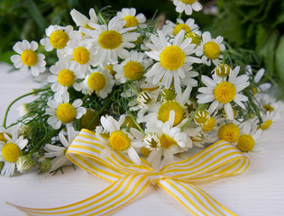 Chamomile flowers on a wooden background.