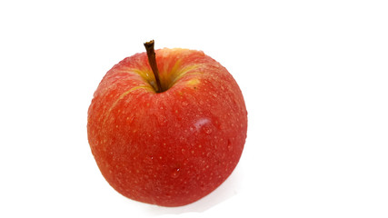 Red apple with water drops
