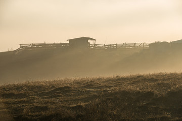 Sheep pen in the mist