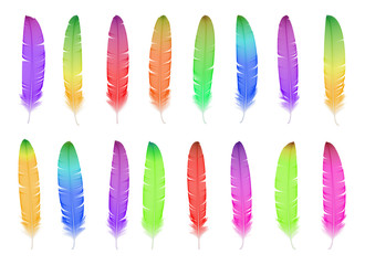 Watercolor feather set. Hand drawn vector illustration