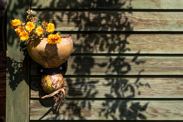 Blumentopf an Holzwand