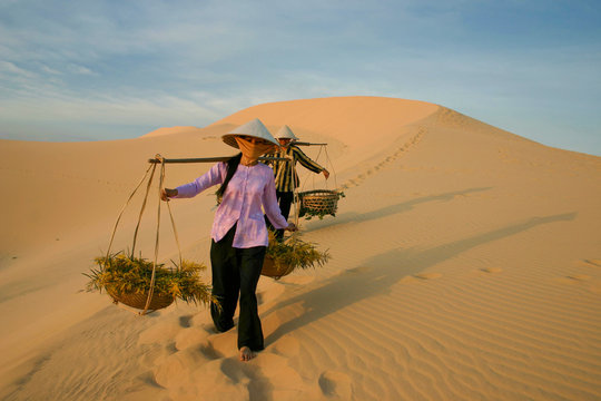 Female couple go down a dune
