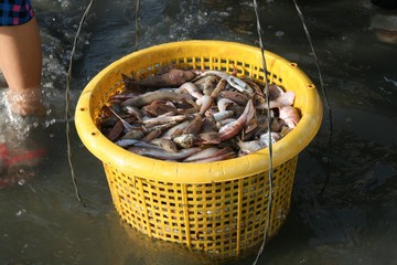 Activity in the Bay of Mui Ne

