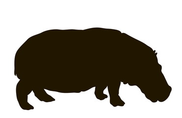 Vector silhouette of a hippopotamus