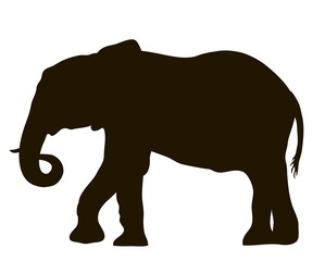 vector silhouette of an elephant moving