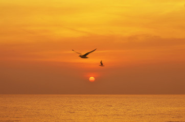 Fototapeta na wymiar Beautiful sunset above the sea with birds