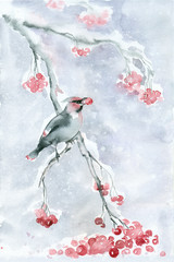 Watercolor little bird on branch with berries and snow in winter - 93856293