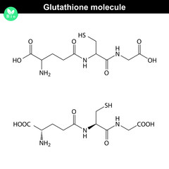 Glutathione chemical structure
