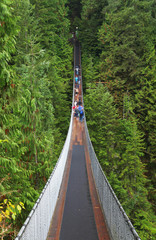 Fototapeta na wymiar Capilano suspension bridge in British Columbia, Canada