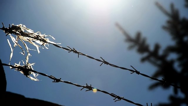 Fence with barbed wire