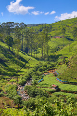 mountain landscape in Sri Lanka