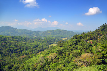 Naklejka na ściany i meble mountain landscape in Sri Lanka