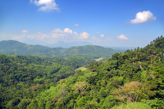 mountain landscape in Sri Lanka