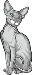 Sphynx cat. Vector illustration. Tattoo style.