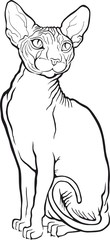 Sphynx cat. Vector illustration. Tattoo style.