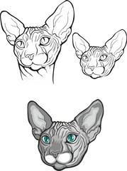 Set of sphynx cat. Vector illustration. Tattoo style.