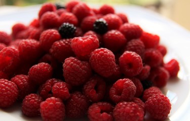 Plate of fresh raspberries 