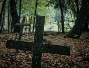 Drewniane krzyże na nieczynnym cmentarzu osadników na górze Donas w Gdyni - obrazy, fototapety, plakaty