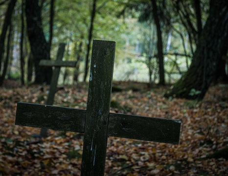 Drewniane krzyże na nieczynnym cmentarzu osadnik&oacute;w na g&oacute;rze Donas w Gdyni