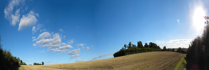 Landscape with field and cloudscape - 93861830
