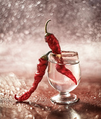 vodka with pepper