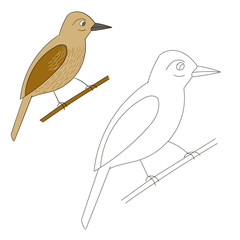 Connect the dots game xenops bird vector 