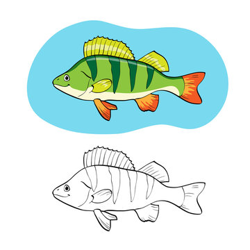 Coloring book or page, illustration with fish perch.