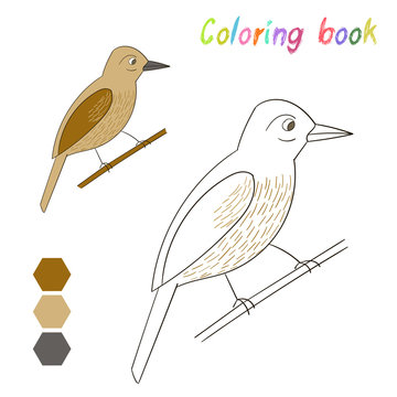 Coloring book bird xenops kids layout for game 