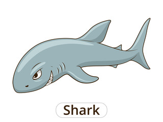 Shark sea animal fish cartoon illustration 