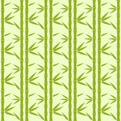 Fototapeta na wymiar Bamboo Pattern. Tropical seamless nature. Vector