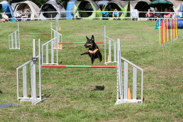 Agility